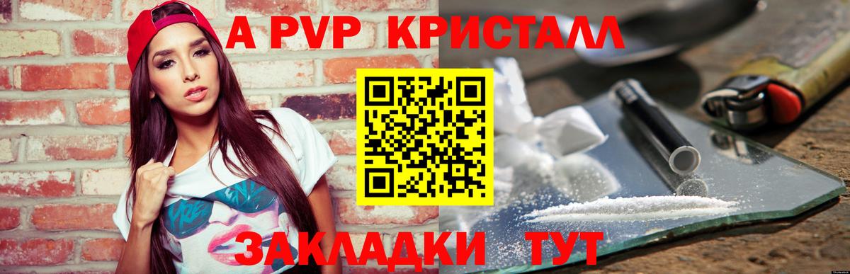 A-PVP СК Элиста
