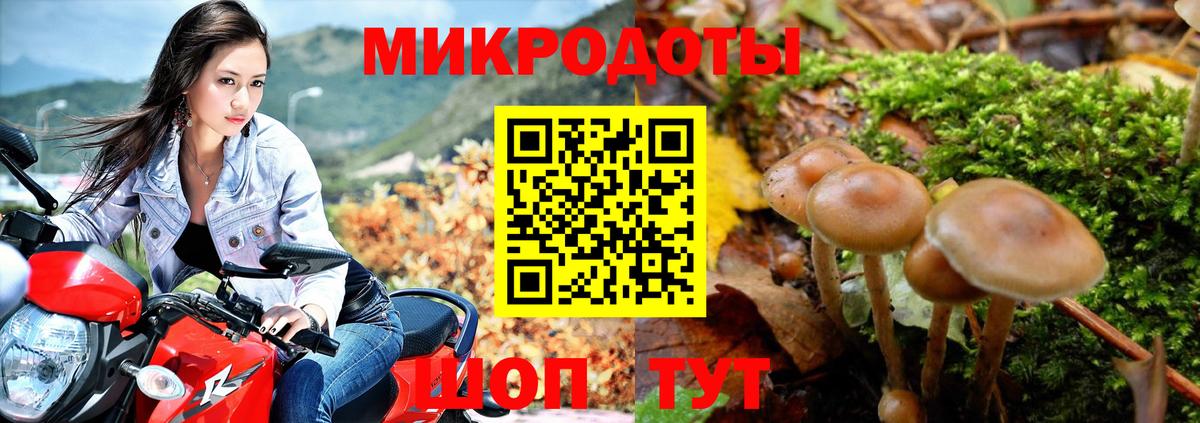Псилоцибиновые грибы мицелий  где найти наркотики  Галлюциногенные грибы Magic Shrooms  Элиста  Вход с VPN 